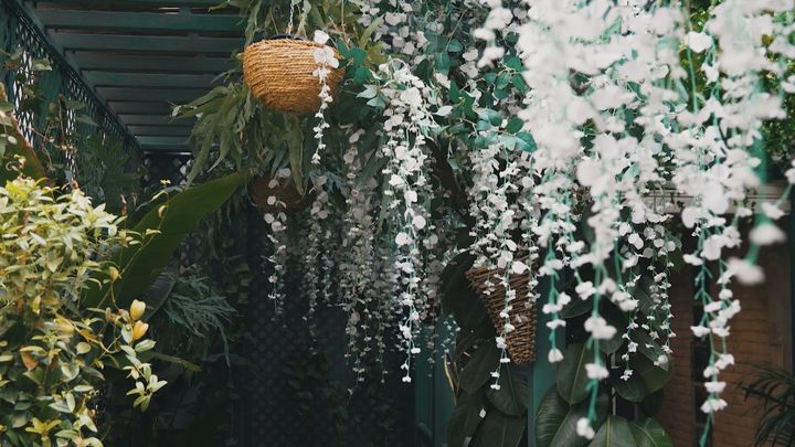 Jardín Calle Montera / Redacción