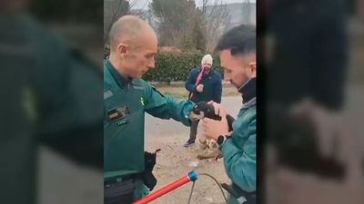 La Guardia Civil rescata un cachorro de un contenedor subterráneo en Perales de Tajuña
