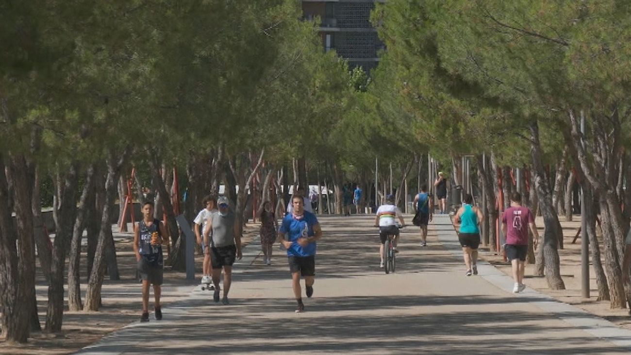 Madrid plantará 270 árboles y más de 10.000 arbustos en Madrid Río y el parque lineal del Manzanares