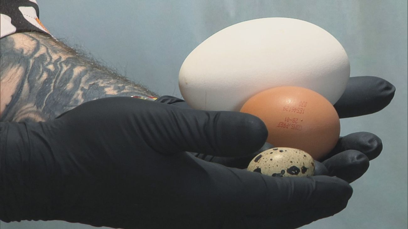 Madrid mejora tu vida 02.02.2025