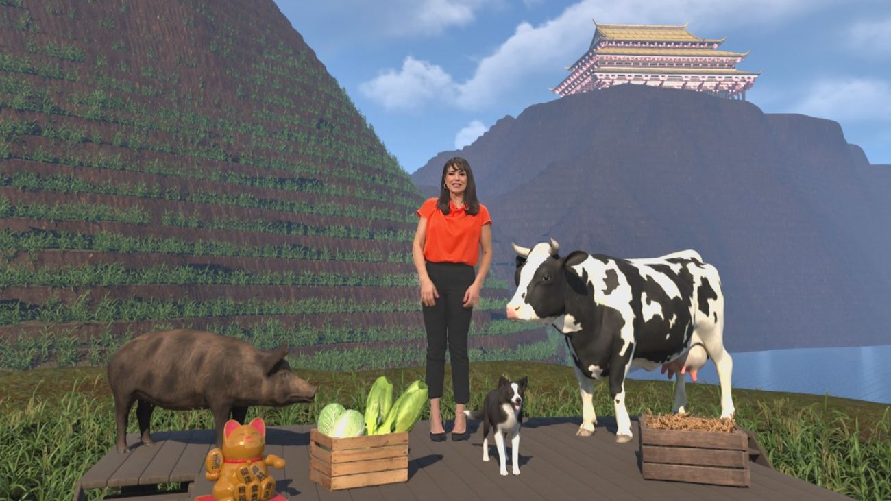 ¿Cuál es el origen de la gastronomía china? un arte mucho más allá de comer con palillos