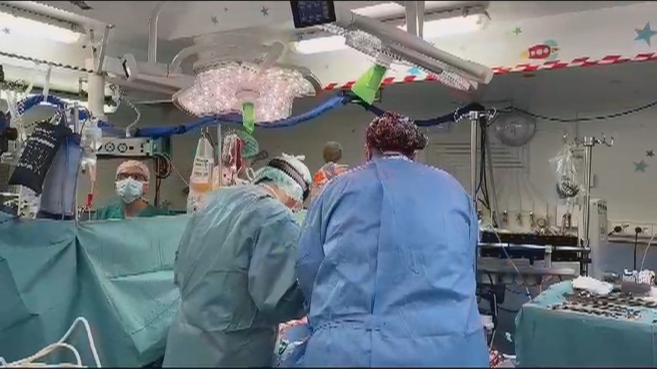 El Hospital 12 de Octubre, líder en trasplantes de órganos sólidos en 2024