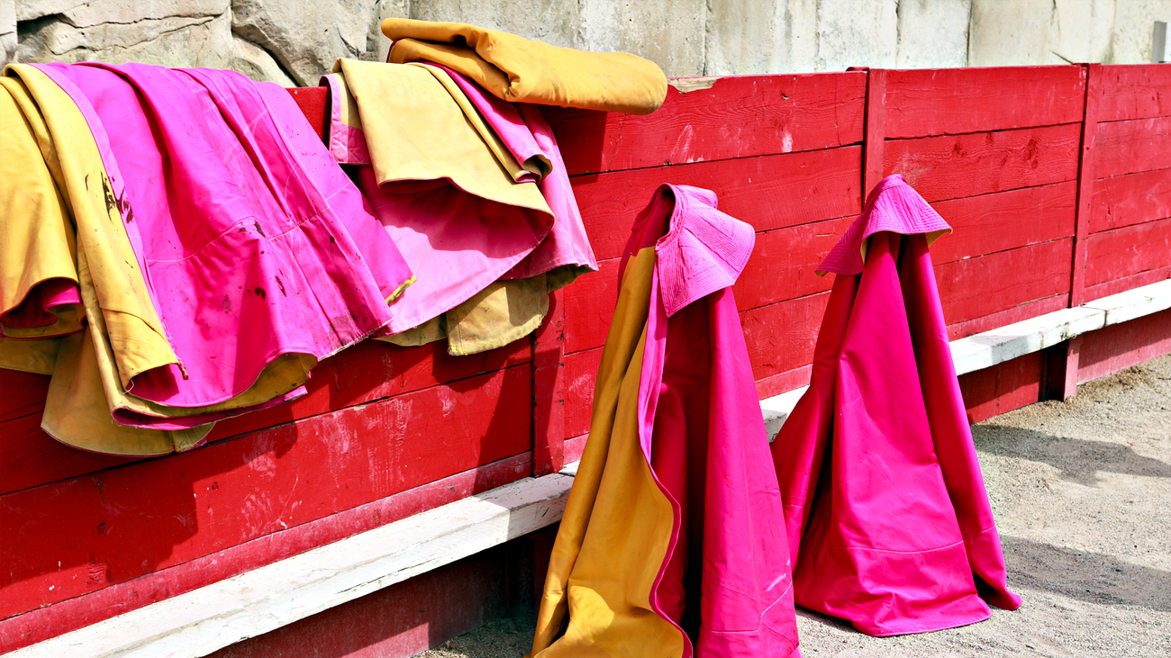 La firma de Zabala de la Serna: Entusiasmo por el Nacional de Tauromaquia y alerta por la ILP antitaurina