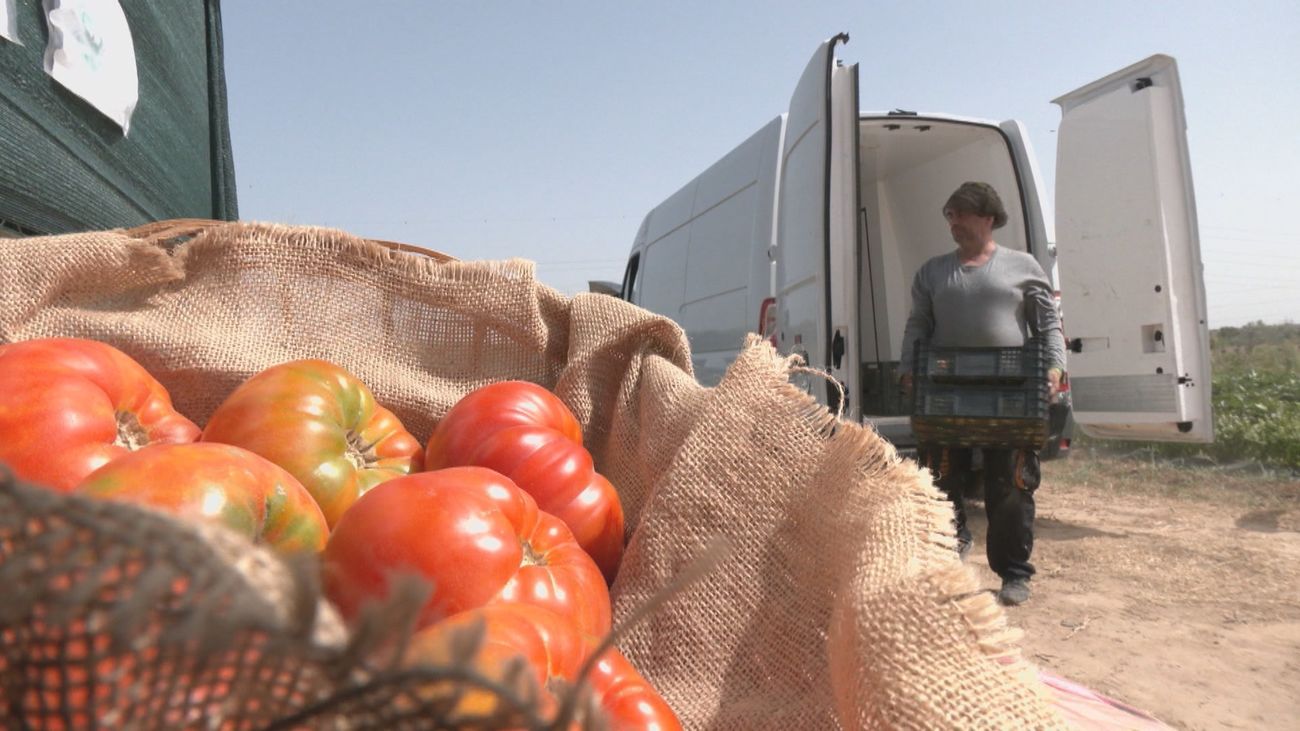 Del campo a la tienda algunos alimentos se encarecen más del 500%