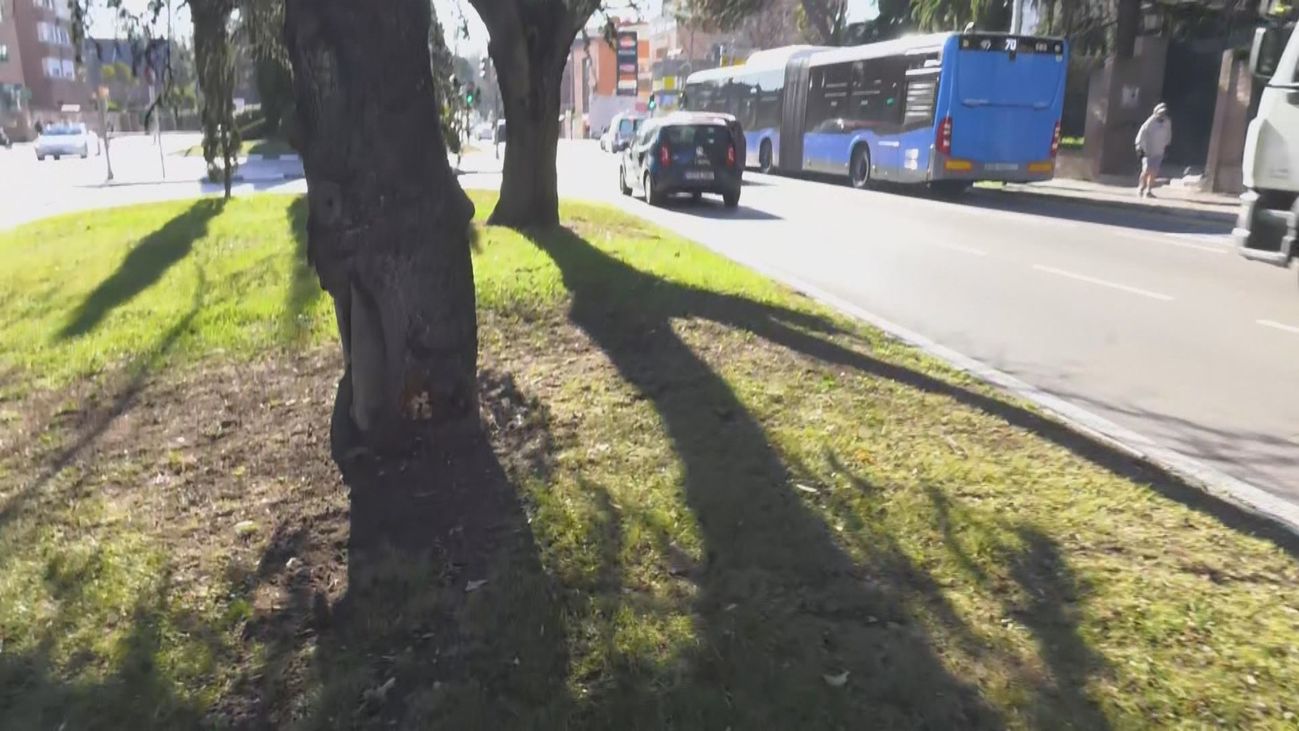 Detenido un joven por intentar matar a su novia estrellando su coche contra un árbol en Arturo Soria