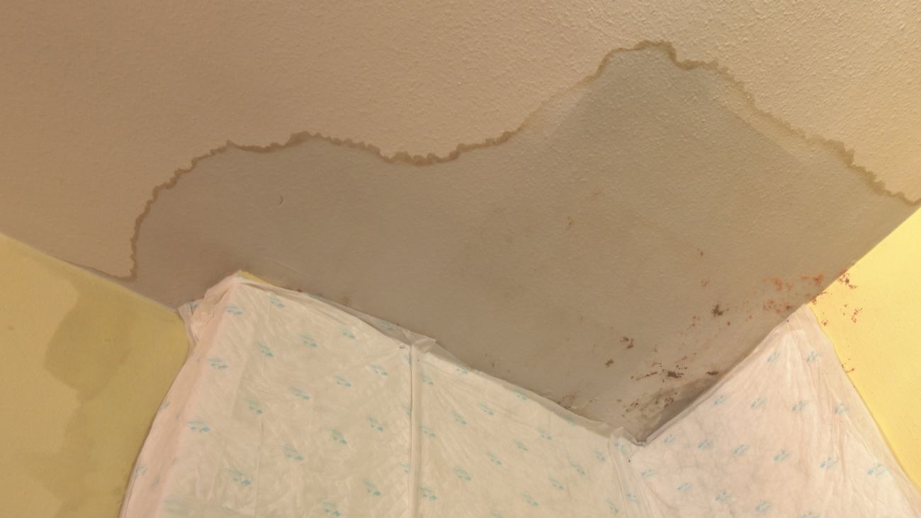 El infierno de vivir rodeado de humedades, en Fuenlabrada