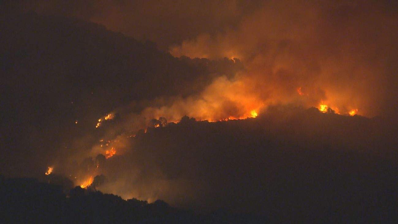 Una trituradora forestal para Cadalso, Cenicientos y Rozas de Puerto Real