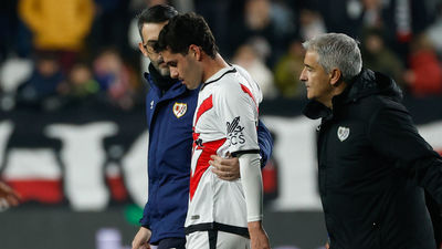 Camello sufre la fractura del quinto metatarsiano del pie izquierdo