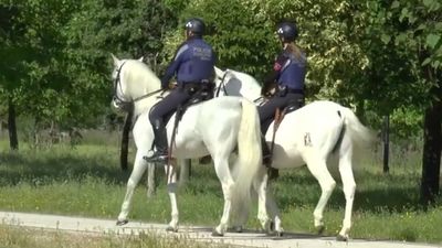 El PSOE quiere que los caballos que patrullan en el Retiro lleven pañales