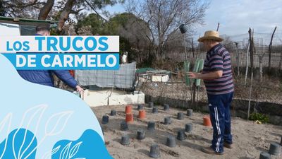 Los cinco trucos eficaces, sencillos y económicos para tu huerto en invierno