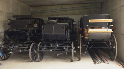 Así son los carruajes tirados por caballos y la historia de estas ‘máquinas vivas’