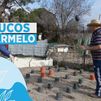Los cinco trucos eficaces, sencillos y económicos para tu huerto en invierno