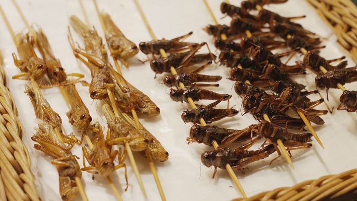Brochetas de insectos en Shanghái, China / TELEMADRID