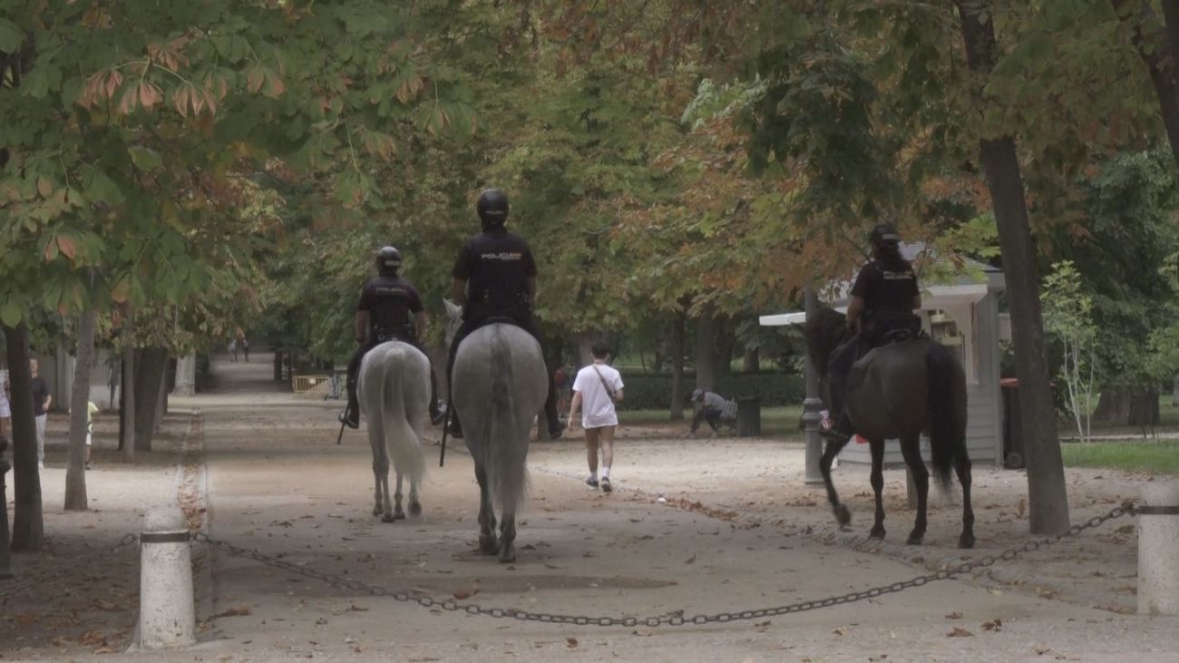 Carabante ironiza con la  propuesta del PSOE de "que los caballos lleven pañales" y dice que lo estudiarán