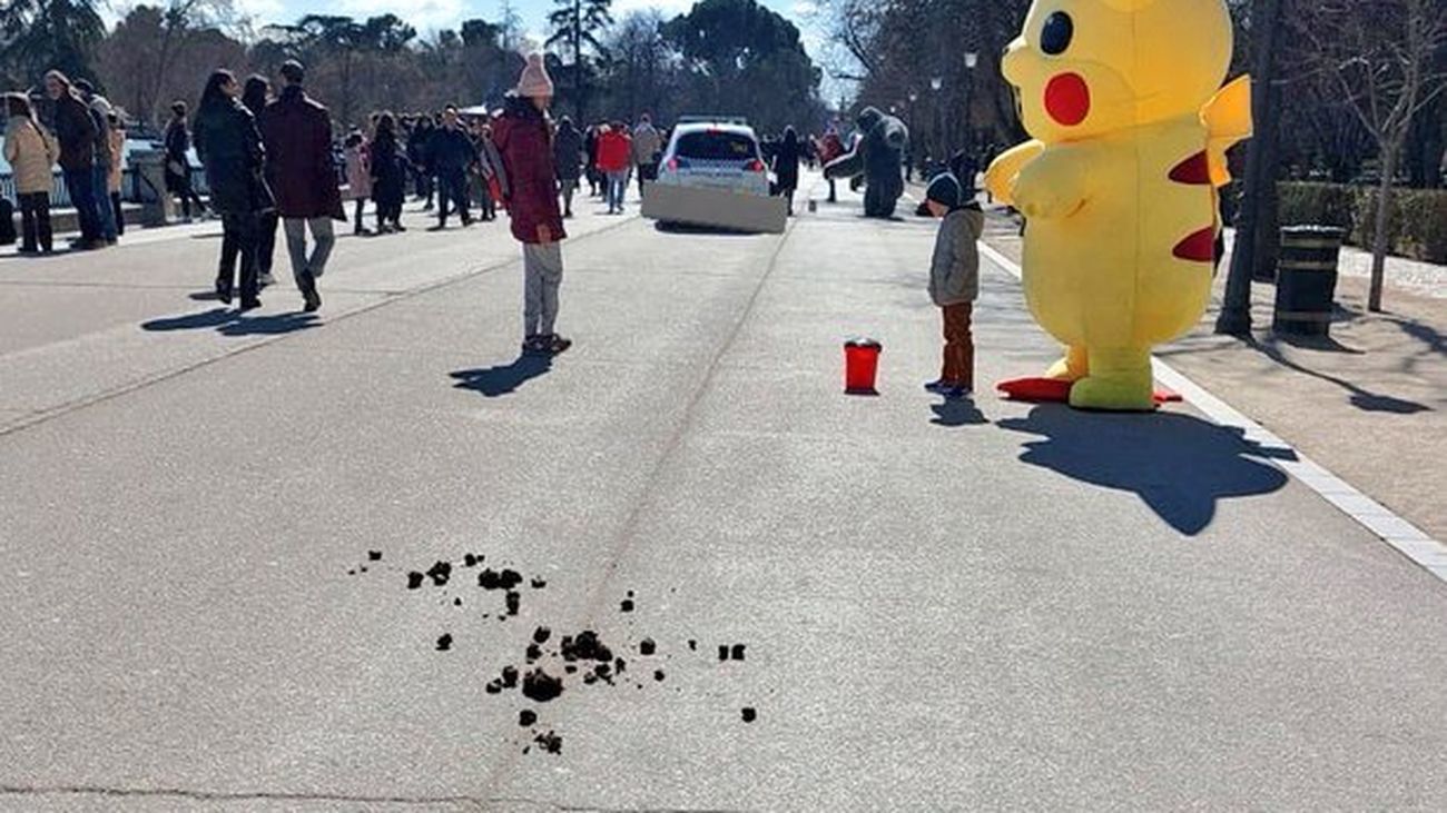 Excrementos junto al paseo del estanque de El Retiro
