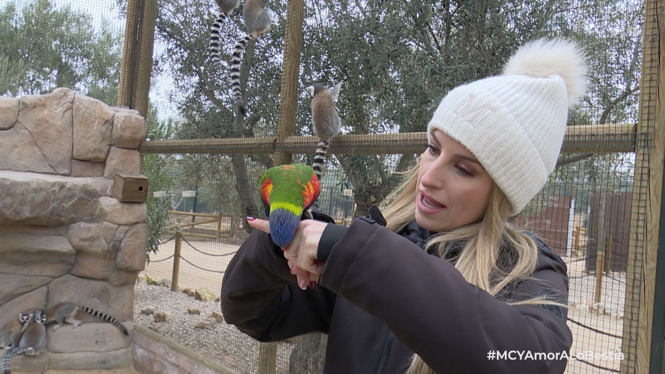 Mi cámara y yo: Amor a lo bestia