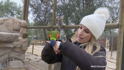 Mi cámara y yo: Amor a lo bestia