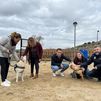 23 perros y 6 cachorros buscan una nueva familia en Campo Real