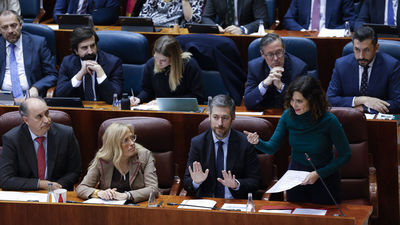 Vivienda, natalidad y FP acaparan el pleno de la Asamblea de Madrid