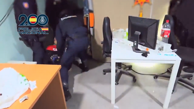 "Al suelo, al suelo": así cayó una banda que cultivaba 1.350 plantas de marihuana en una nave de Toledo