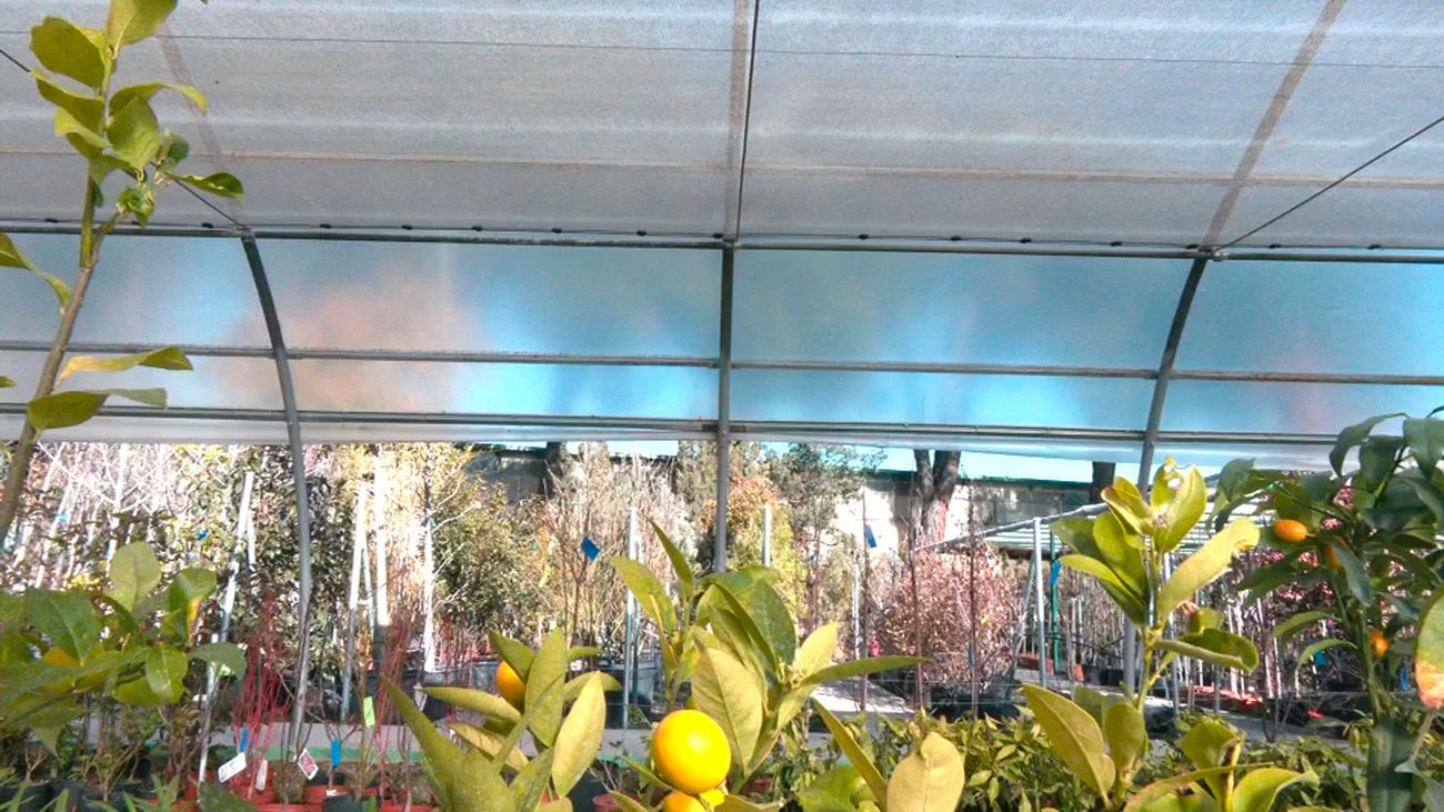 La huerta en casa para principiantes