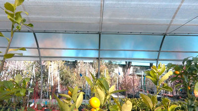 La huerta en casa para principiantes