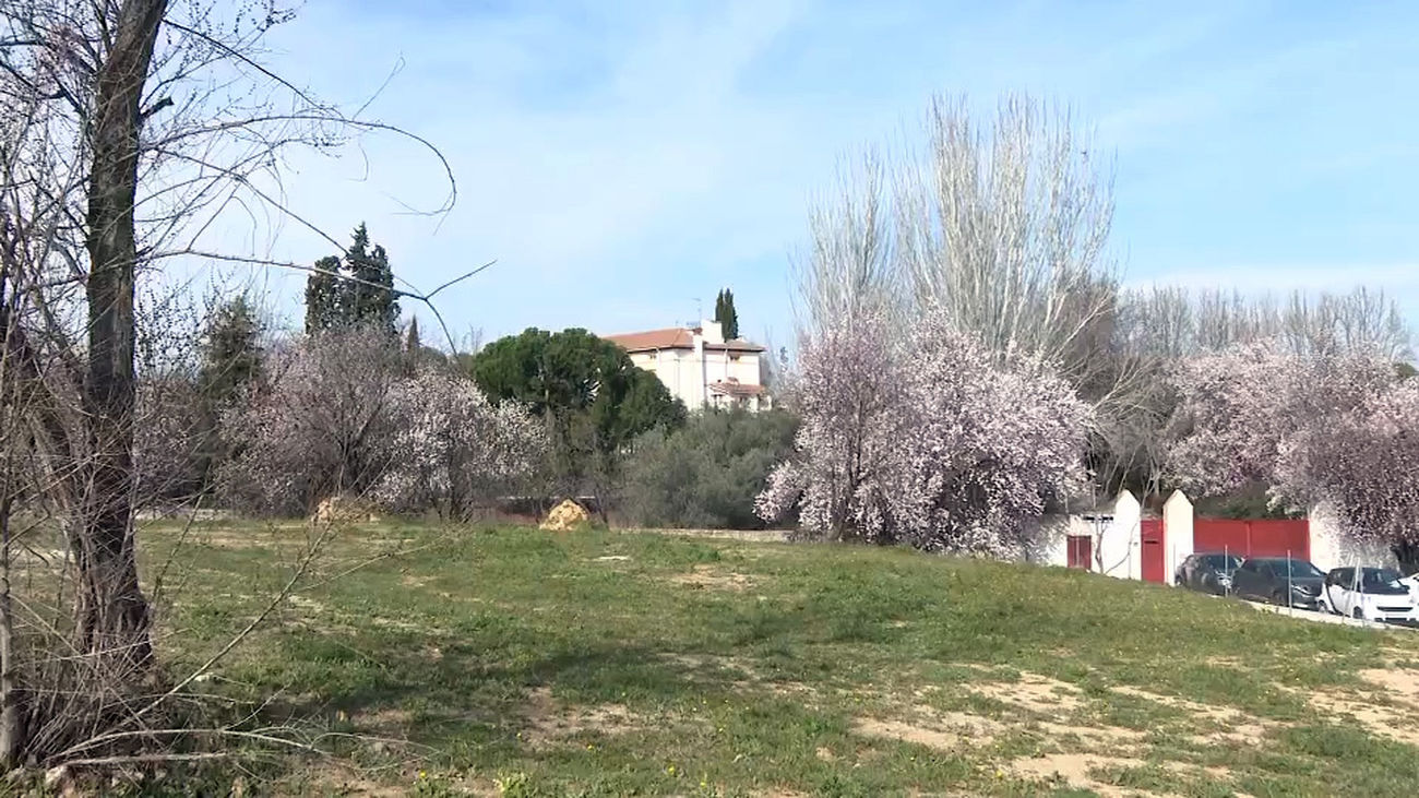 Madrid protegerá la histórica Huerta de Mena de Hortaleza, declarándola Bien de Interés Patrimonial