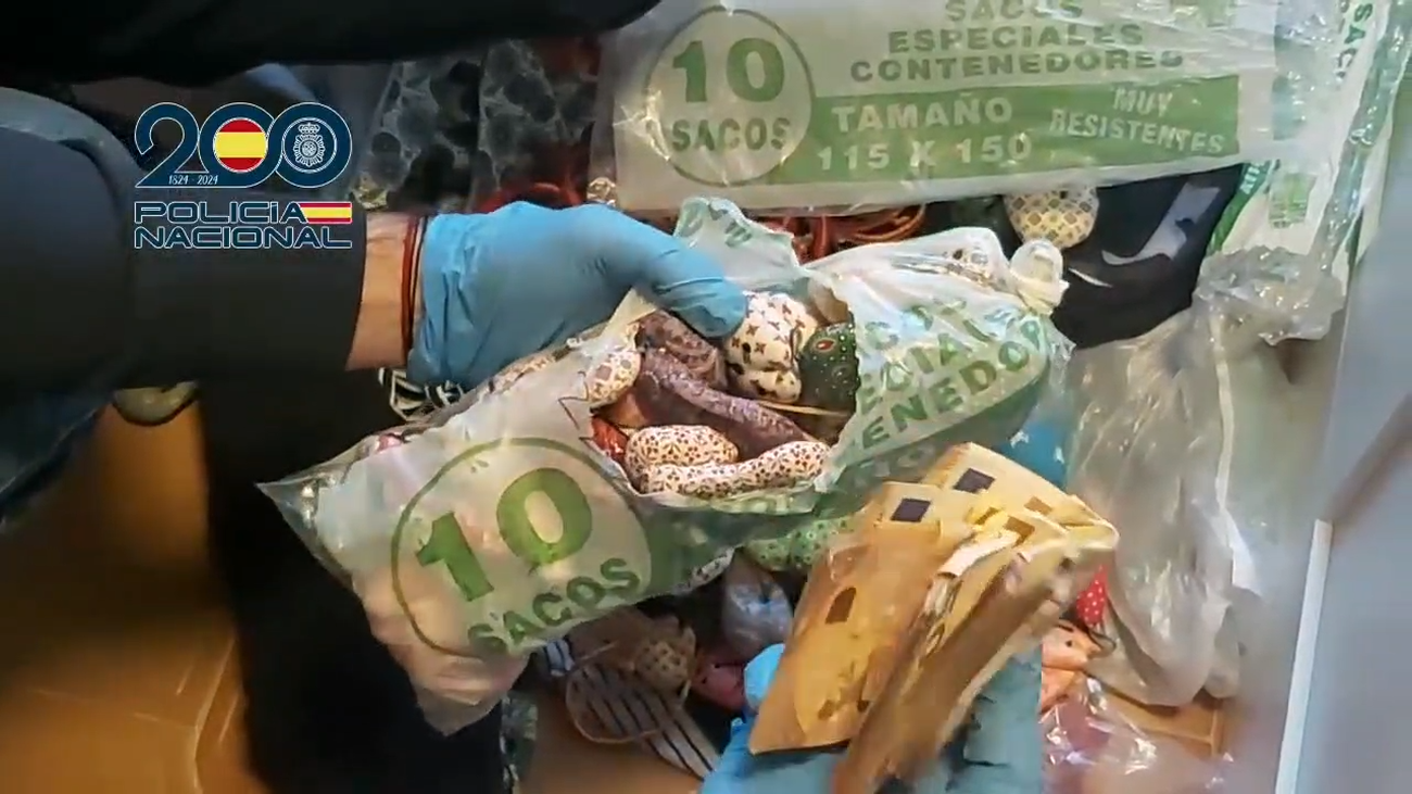 Así blanquean las mafias chinas en Madrid el dinero procedente del crimen