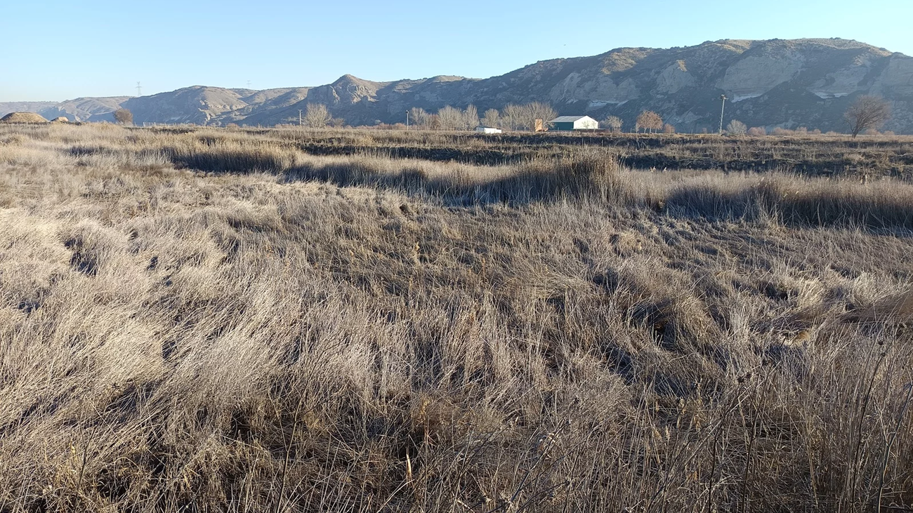 Vista actual de la zona Sur de la laguna de Soto Gutiérrez, en Ciempozuelos