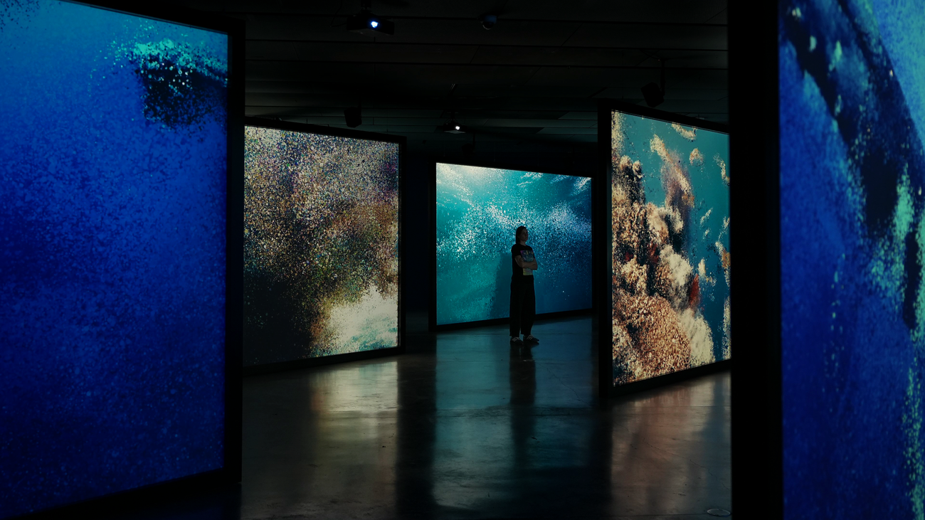 Espacio Fundación Telefónica acoge la exposición inmersiva 'Ecos del océano'