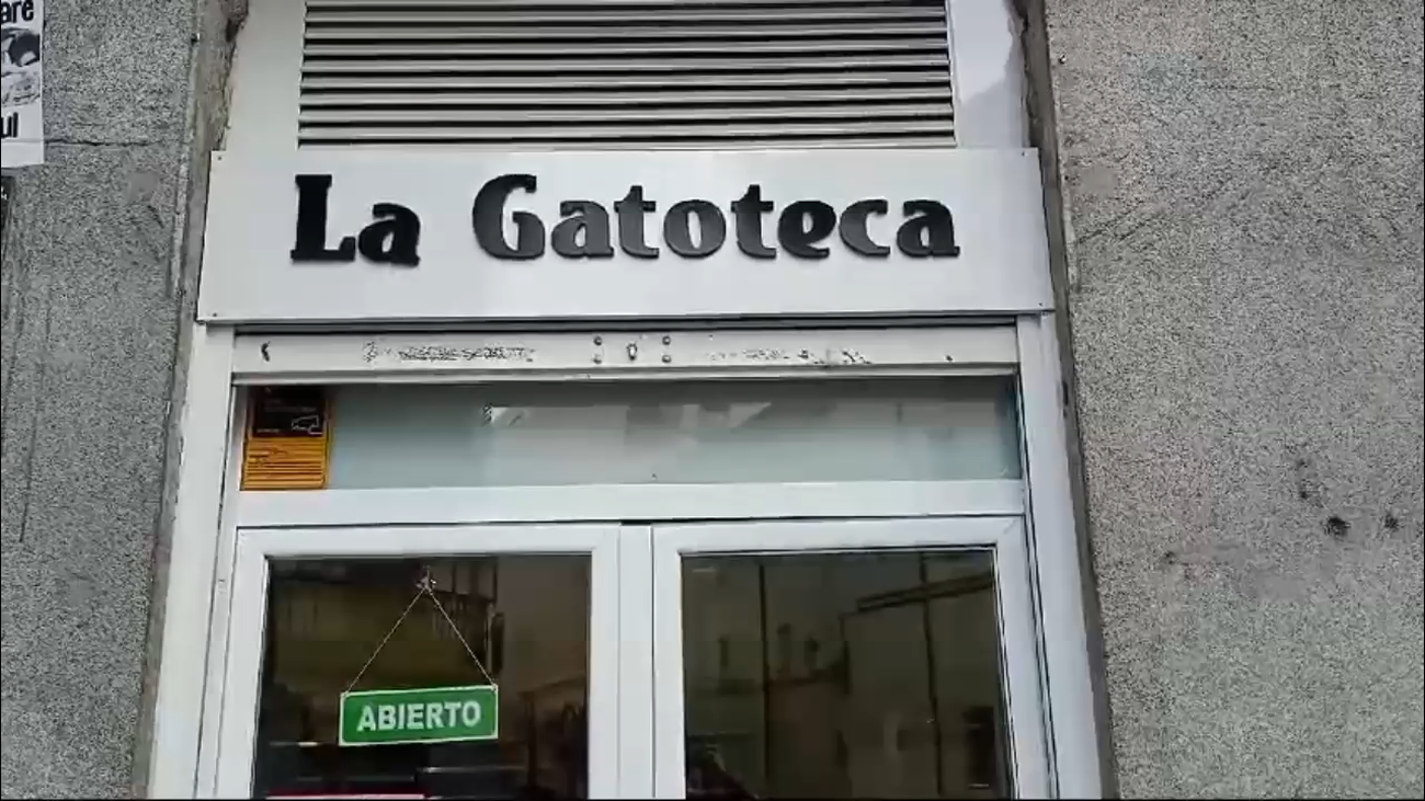 La Gatoteca, un rincón donde beber café junto a gatos en Madrid Centro