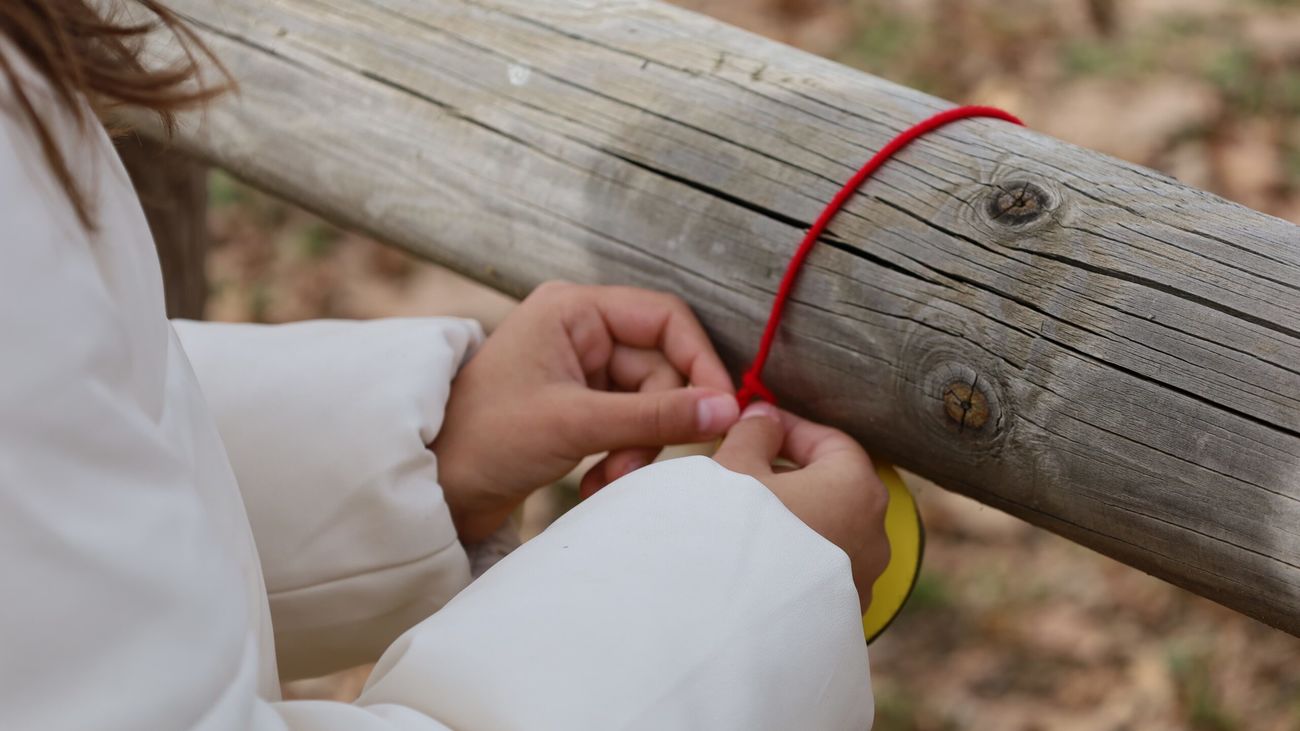Los alumnos del CEIP Espartales de Alcalá adoptan 'su' Gran Parque
