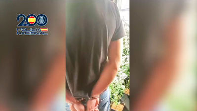 Desmantelada otra plantación indoor de marihuana en Leganés, gracias a la colaboración vecinal