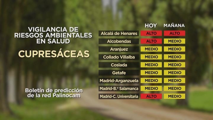 Cifras cupresáceas en Madrid / ARCHIVO