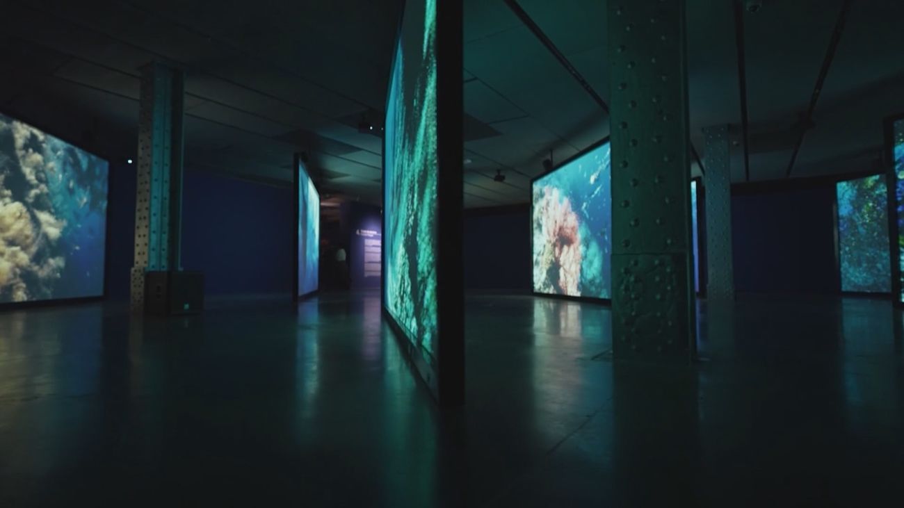 'Ecos del océano', la experiencia inmersiva que busca concienciar sobre los entornos marinos