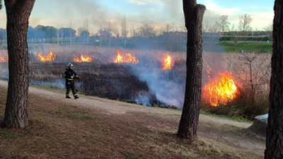 Incendio sin heridos en el Parque Lineal de Burtarque de Leganés