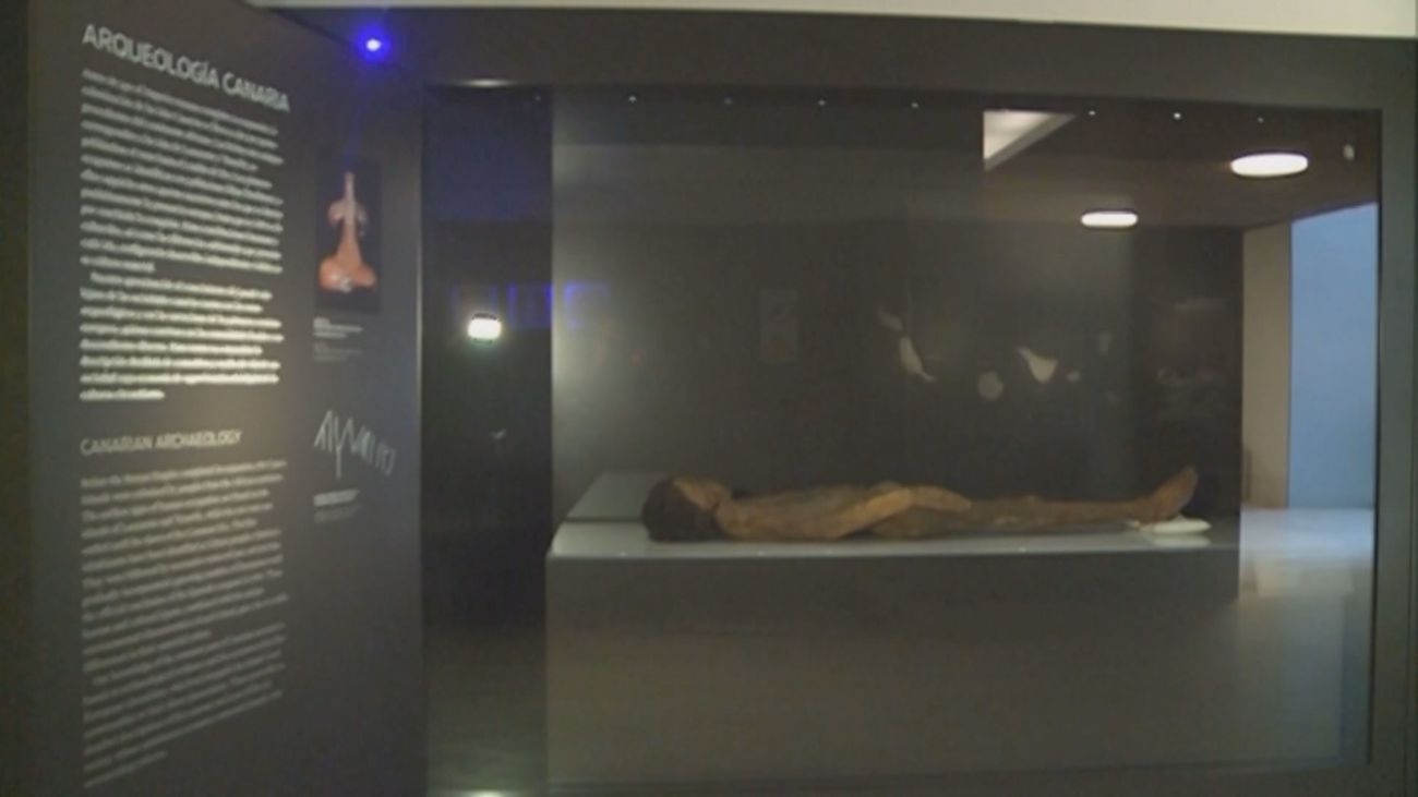 Los Museos Estatales de Cultura comienzan a retirar restos humanos de sus salas