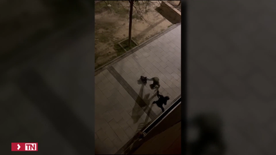 Vuelven a detener a Rafa, el  'jabato de Alcalá de Henares':  Ya lleva más de 80 robos en el municipio