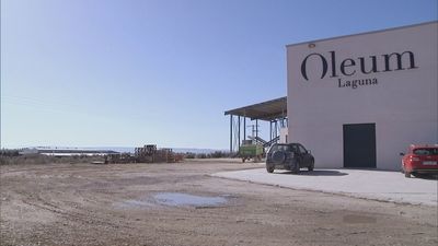 Madrid mejora tu vida 01.03.2025