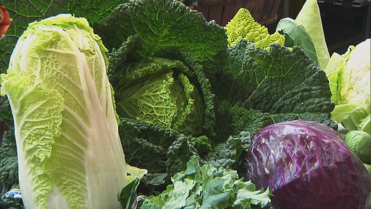 Madrid mejora tu vida 02.03.2025