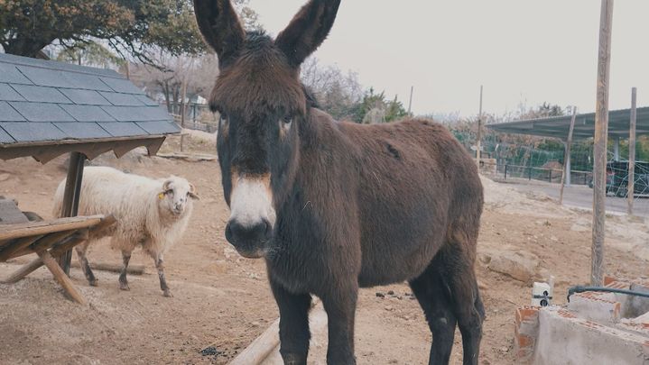 Alojamiento 'La Tejada' / redacción