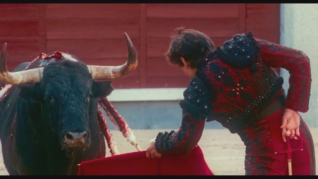 Albert Serra sobre 'Tardes de soledad': "da una imagen más positiva que negativa" de la tauromaquia