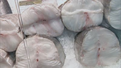 Madrid mejora tu vida 08.03.2025