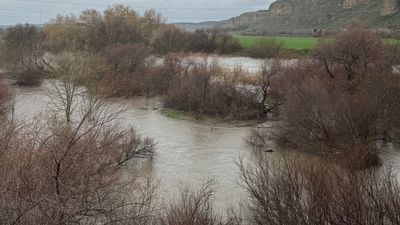 Arganda activa el Plan de Inundaciones por el desborde "en varios puntos" del río Jarama