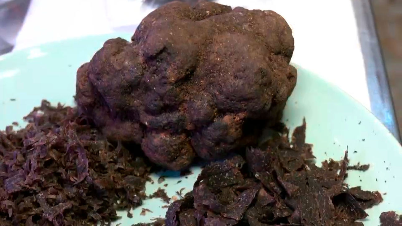 Aceite, foie gras, salsas…productos delicatessen con trufa