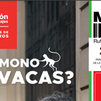 Consulta el programa de viajes culturales de la Comunidad de Madrid 2025 de Viajes Halcón