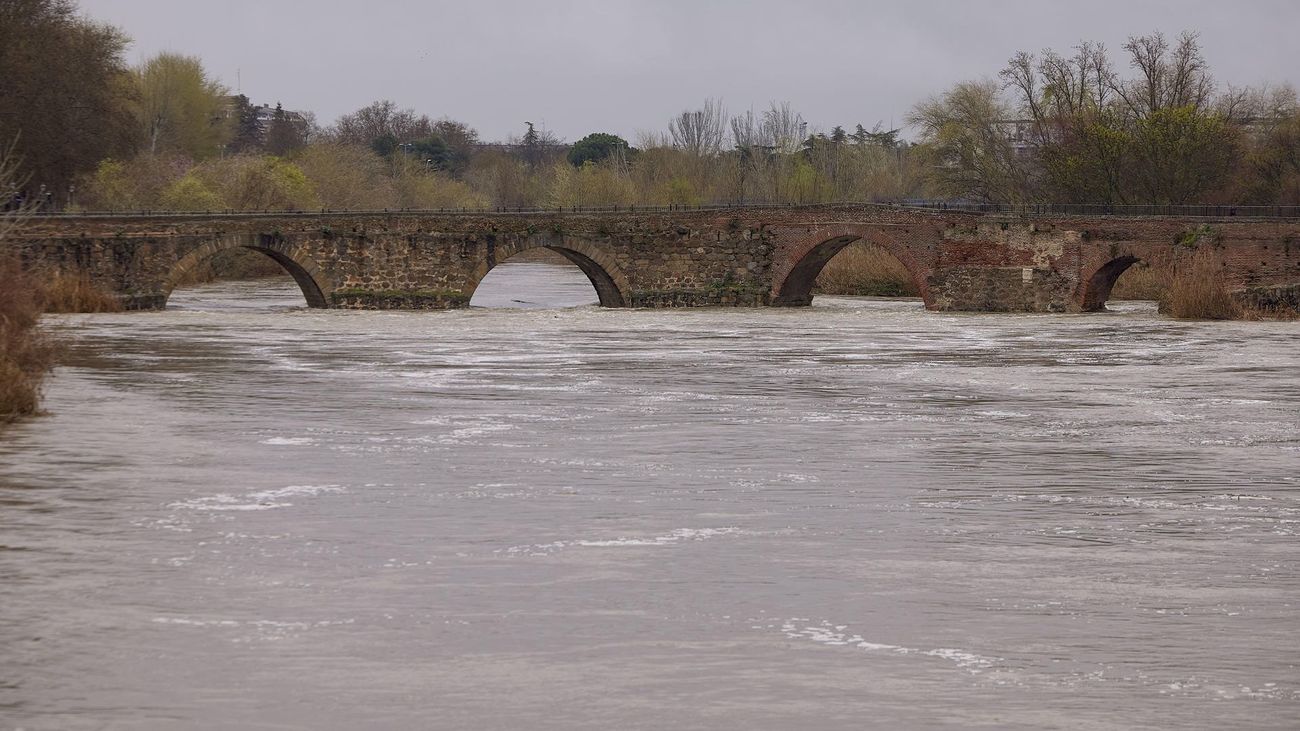 Toledo y Guadalajara en alerta por las crecidas del Tajo, el Alberche y el Henares