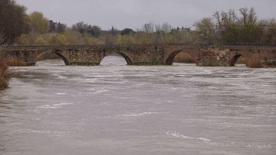 Toledo y Guadalajara en alerta por las crecidas del Tajo, el Alberche y el Henares