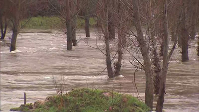 Aldea del Fresno sigue con temor la crecida del Alberche