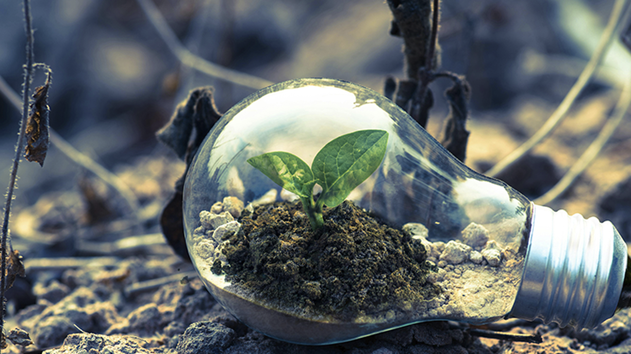 Lasgaya, la cooperativa que ayuda a otras en medioambiente, igualdad, ingeniería y gobernanza